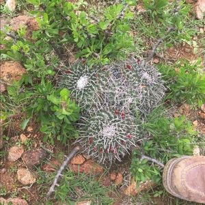 Meet your Posher, Abigail